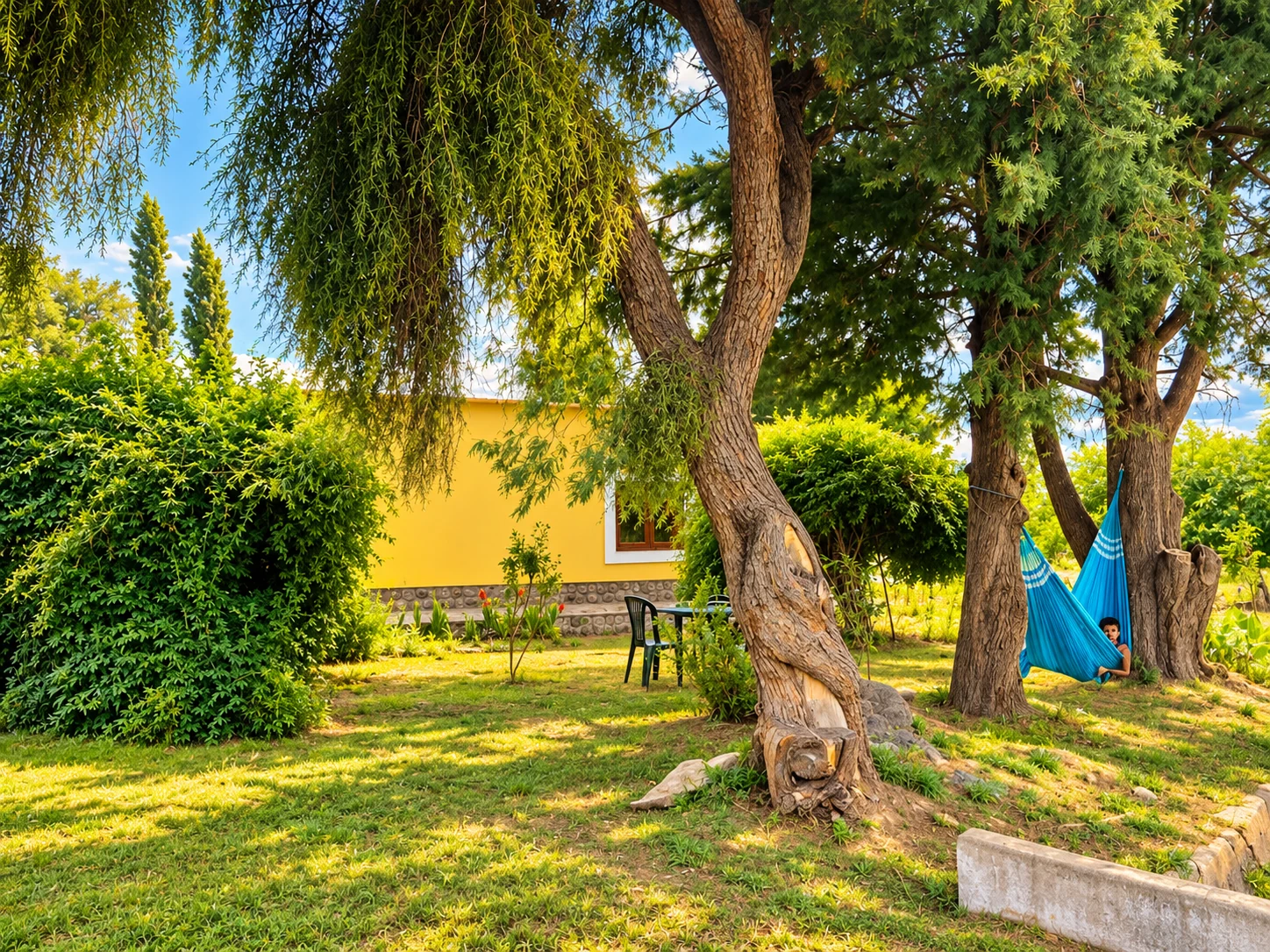 Árboles y hamacas paraguayas en el jardín