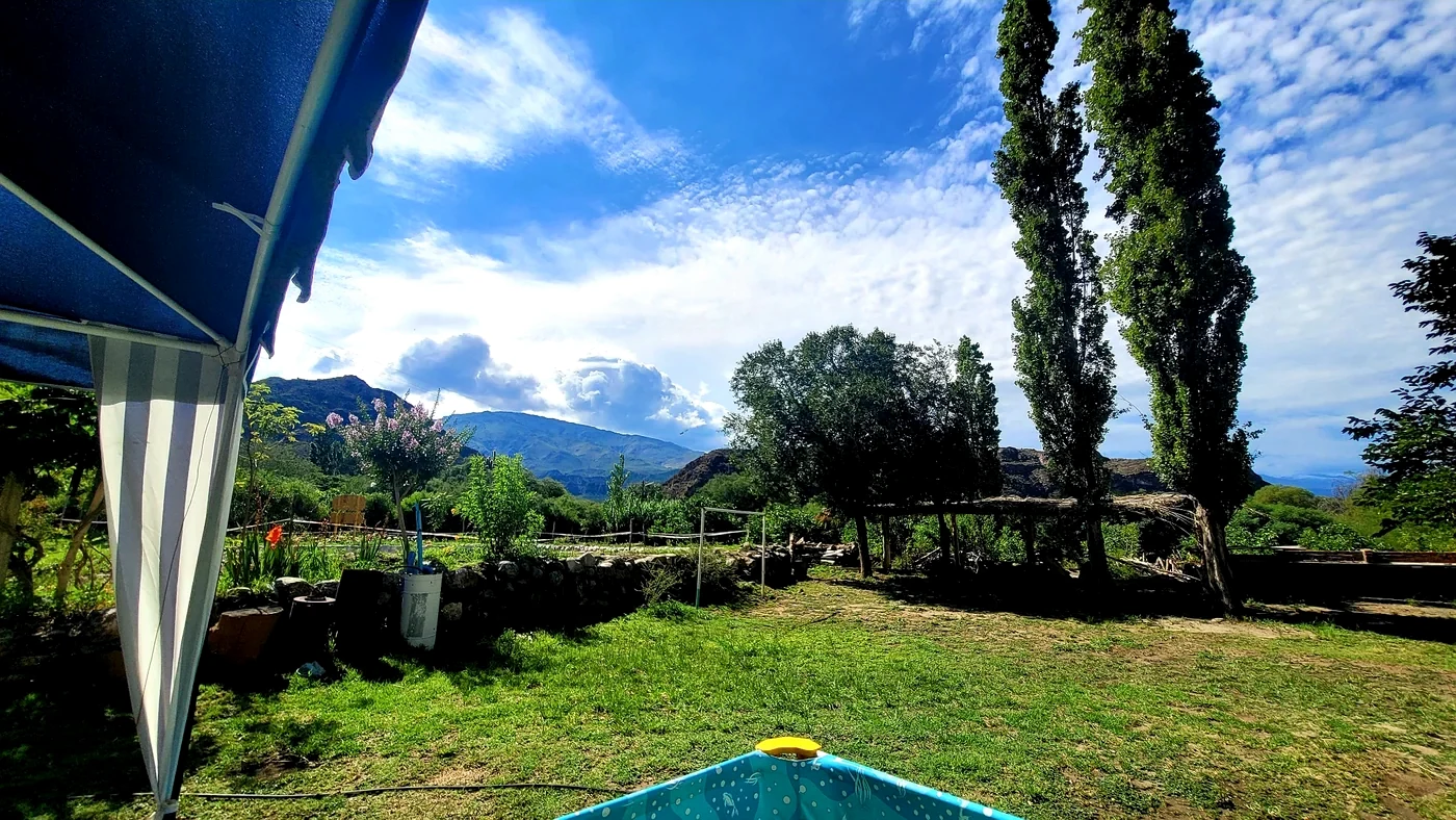Vegetación y árboles en la finca
